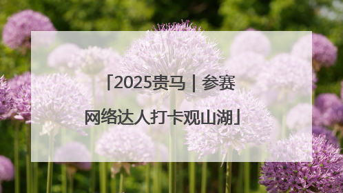 2025贵马｜参赛网络达人打卡观山湖